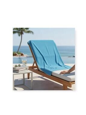 new Poshmark ༄ The Posh Life Plush Velour Logo Beach Towel༄ Baby Blue ༄ 30 x 60